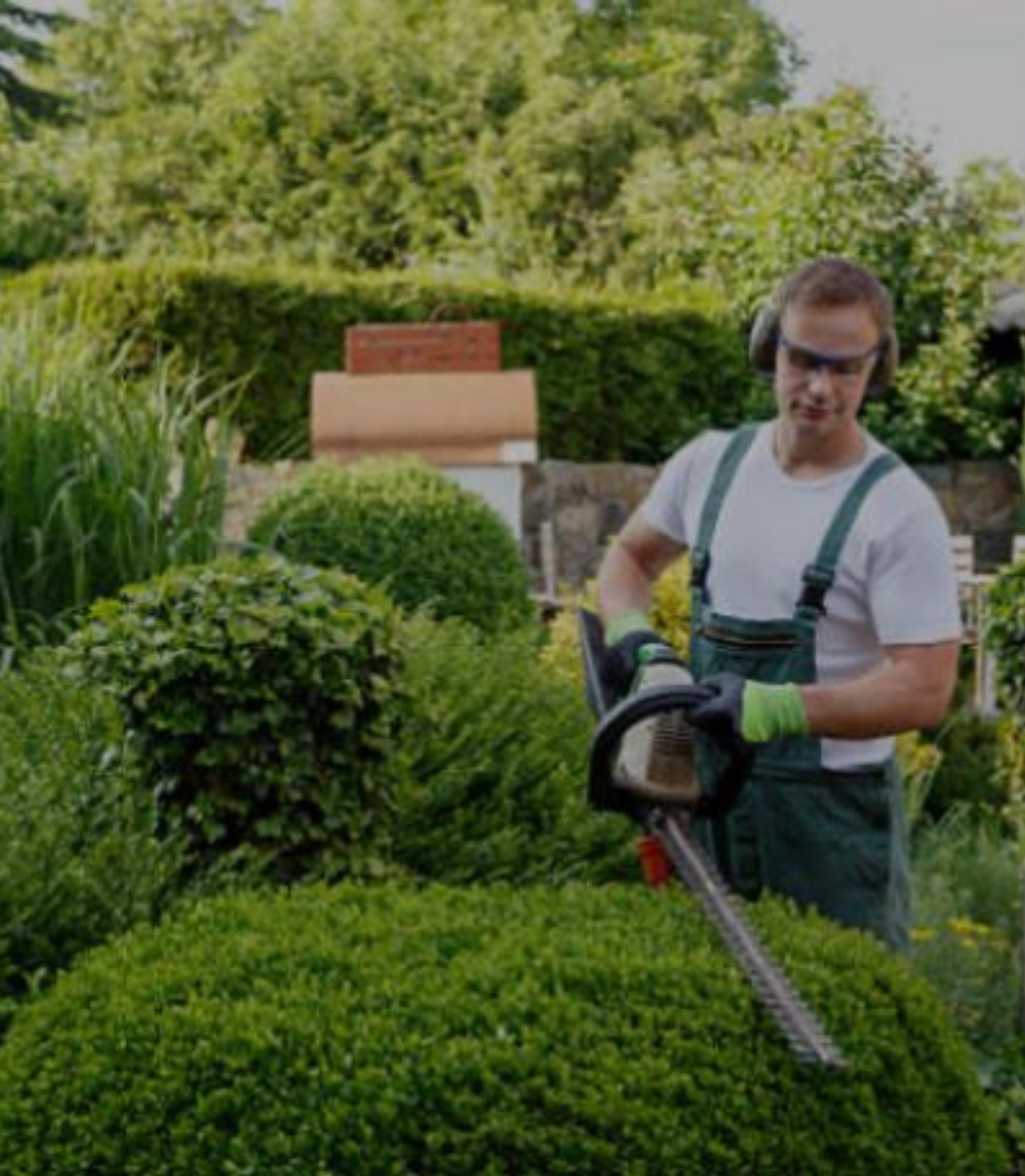 Garden Maintenance